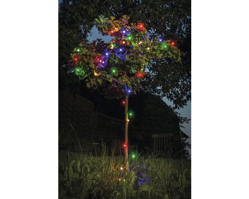 Baum mit mehrfarbiger Lichterkette im Garten