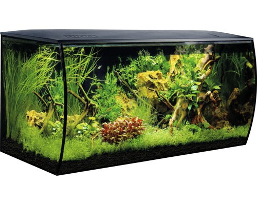 | Aquarium l Flex mit Filter, 57 LED-Beleuchtung, HORNBACH Fluval