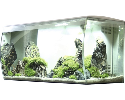 Aquarium Fluval Flex HORNBACH 123 l Filter, LED-Beleuchtung, inkl. 