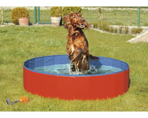 Hundepool Karlie Doggy Pool 160 cm rot-blau