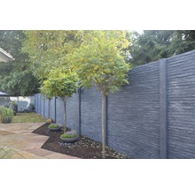 Gartenansicht mit grauer Steinwand und Bäumen
