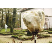 Gartenszene mit Pflanze im Winterschutzsack