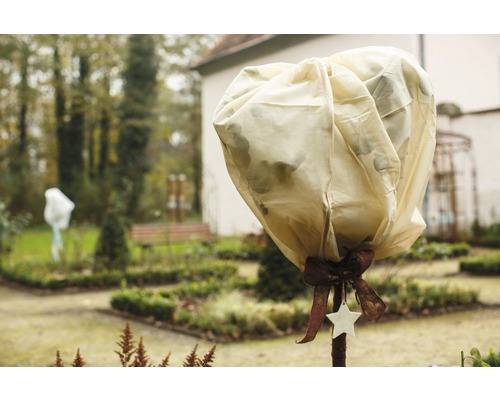 Gartenszene mit Pflanze im Winterschutzsack