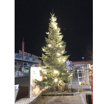 Beleuchteter Weihnachtsbaum vor dem Baustoffzentrum