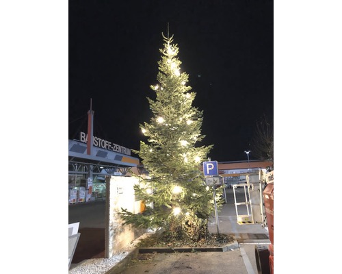 Beleuchteter Weihnachtsbaum vor dem Baustoffzentrum