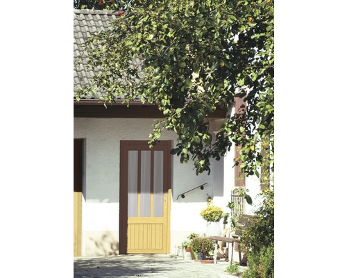 Hauseingang mit Haustür und Baum