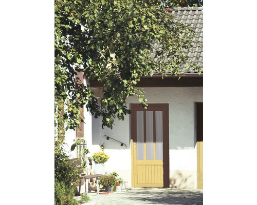 Eingangstür mit Glaseinsätzen an einem Gebäude mit Garten