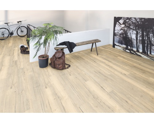 Szene mit hellem Laminatboden, Bank, Pflanze, Rucksack und Fahrrad