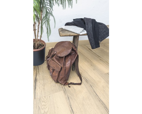 Szene mit braunem Lederrucksack, Zeitung, Kleidung auf einer Holzbank und einer Zimmerpflanze.