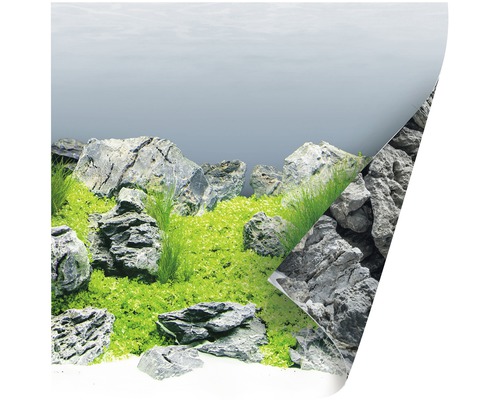 Aquariumrückwand mit Felsen und Pflanzen