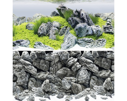 Aquarium Dekoration mit Steinen und Pflanzen