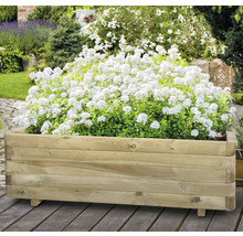 Holzpflanzkasten mit weißen Blüten im Garten