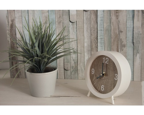 Dekorative Zimmerpflanze im Topf neben einer analogen Tischuhr