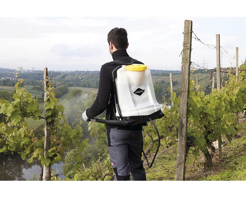 Eine Person verwendet eine Rückenspritze im Weinberg zur Schädlingsbekämpfung.