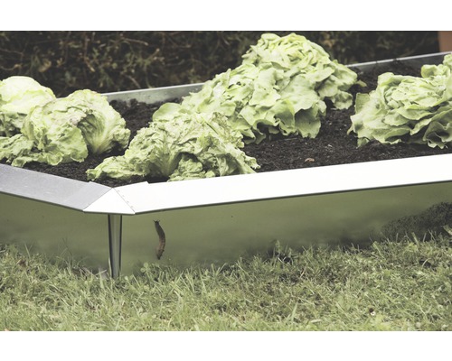 Hochbeet aus Metall mit Salatpflanzen und einer Schnecke