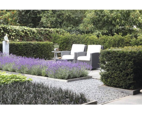 Gestalteter Gartenbereich mit Kiesweg, Lavendel, Gartenmöbeln und Hecken