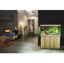 Aquariumkombination JUWEL Rio 350 SBX mit LED-Beleuchtung, Heizer, Filter und Unterschrank helles Holz