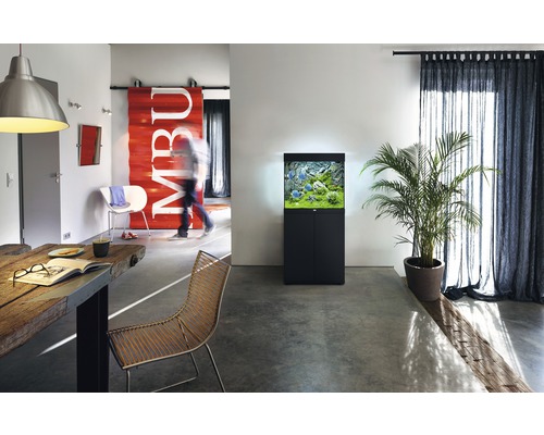 Wohnraum mit Aquarium auf Unterschrank, Tisch, Stuhl und Zimmerpflanze