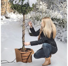 Frau wickelt ein Heizkabel um einen Baum im Wintergarten.