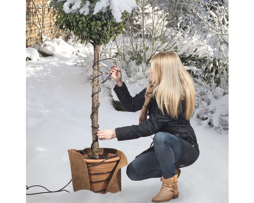 Winterschutz videx Frostschutz-Heizkabel mit Temperaturregulierung 20 W, ca. 2 m Frau wickelt ein Heizkabel um einen Baum im Wintergarten.
