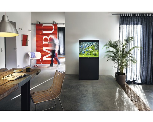 Modernes Wohnzimmer mit Aquarium auf Unterschrank, Esstisch und Stühlen