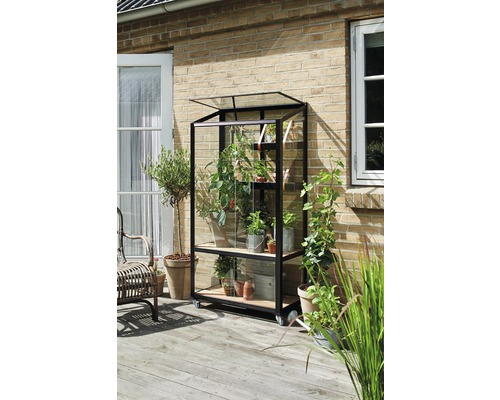 Gewächshaus JULIANA City Greenhouse 4 mm Sicherheitsglas rollbar 80 x 40 cm schwarz-0