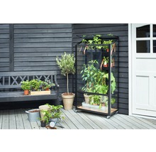 Gewächshaus JULIANA City Greenhouse 4 mm Sicherheitsglas rollbar 80 x 40 cm schwarz-thumb-19