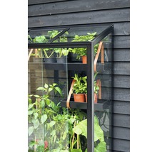 Gewächshaus JULIANA City Greenhouse 4 mm Sicherheitsglas rollbar 80 x 40 cm schwarz-thumb-13