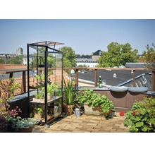 Gewächshaus JULIANA City Greenhouse 4 mm Sicherheitsglas rollbar 80 x 40 cm schwarz-thumb-16