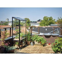 Gewächshaus JULIANA City Greenhouse 4 mm Sicherheitsglas rollbar 80 x 40 cm schwarz-thumb-18