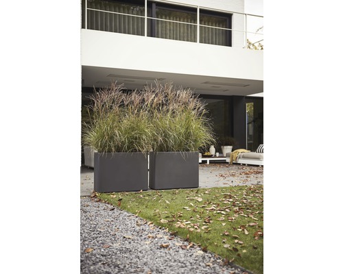 Zwei rechteckige Pflanzkästen aus Kunststoff mit Ziergras im Garten