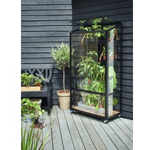 Gewächshaus JULIANA City Greenhouse 4 mm Sicherheitsglas rollbar 80 x 40 cm schwarz-thumb-5