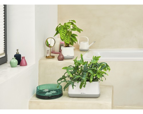 Helles Badezimmer mit Pflanzen in Lechuza Pflanzgefäßen, Gießkanne und dekorativen Vasen