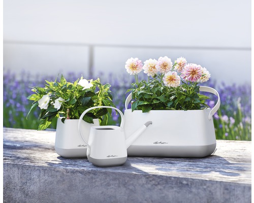 Arrangement aus Pflanzgefäßen und Gießkanne mit Blumen