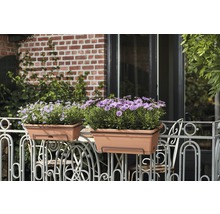 Zwei Balkonkästen mit Blumen auf einem Balkongeländer.