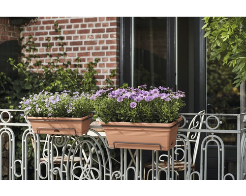 Zwei Balkonkästen mit Blumen auf einem Balkongeländer.