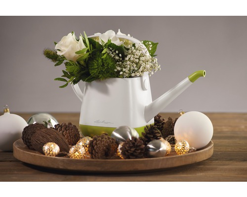 Lechuza Gießkanne mit Blumenarrangement auf Holztablett mit Dekoration