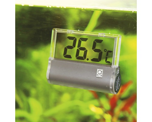 Digitales Aquariumthermometer zur Temperaturmessung