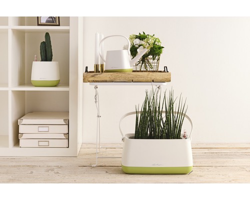 Innenaufnahme mit Pflanzen in Übertöpfen, Gießkanne und Deko-Elementen auf einem Beistelltisch