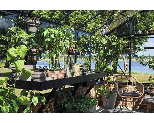 Innenansicht eines Gewächshauses mit Pflanzen, Tisch und Stuhl