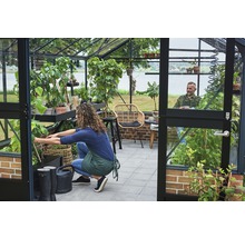 Gewächshaus JULIANA Premium 13,0 m² 3 mm Sicherheitsglas für Mauerfundament 296 x 439 cm anthrazit/schwarz