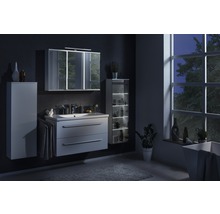 Kofferschrank FACKELMANN weiß 115x40,5x26 cm mit 8 Fächer links