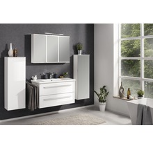 Kofferschrank FACKELMANN weiß 115x40,5x26 cm mit 8 Fächer links