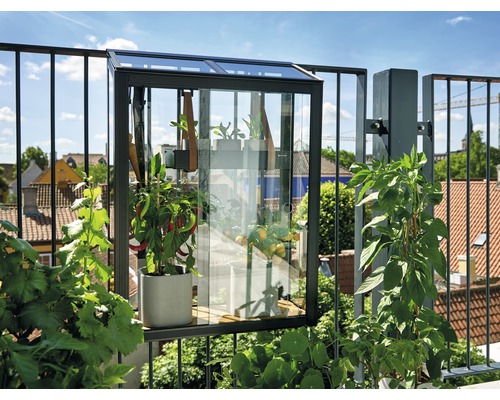 Schwarzes Schattiernetz für Gewächshaus, Balkon, Gemüse