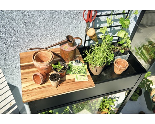 Hochbeet mit Blumentöpfen, Gießkanne, Gartenschere und Pflanzensamen auf einem Balkon