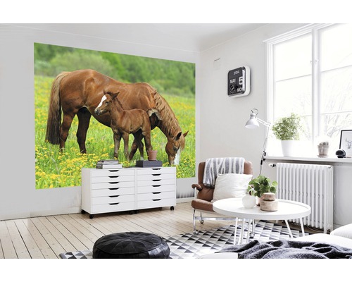 Wohnzimmer mit Fototapete, die eine Stute und ihr Fohlen auf einer Wiese zeigt