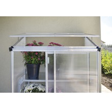 Kompaktes Gewächshaus mit Pflanzen