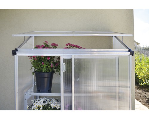 Kompaktes Gewächshaus mit Pflanzen