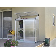 Gewächshaus mit Regalen, Blumen und geöffnetem Dach