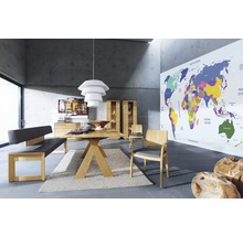 Fototapete Vlies 16081 World map 5-tlg. 250 x 180 cm
